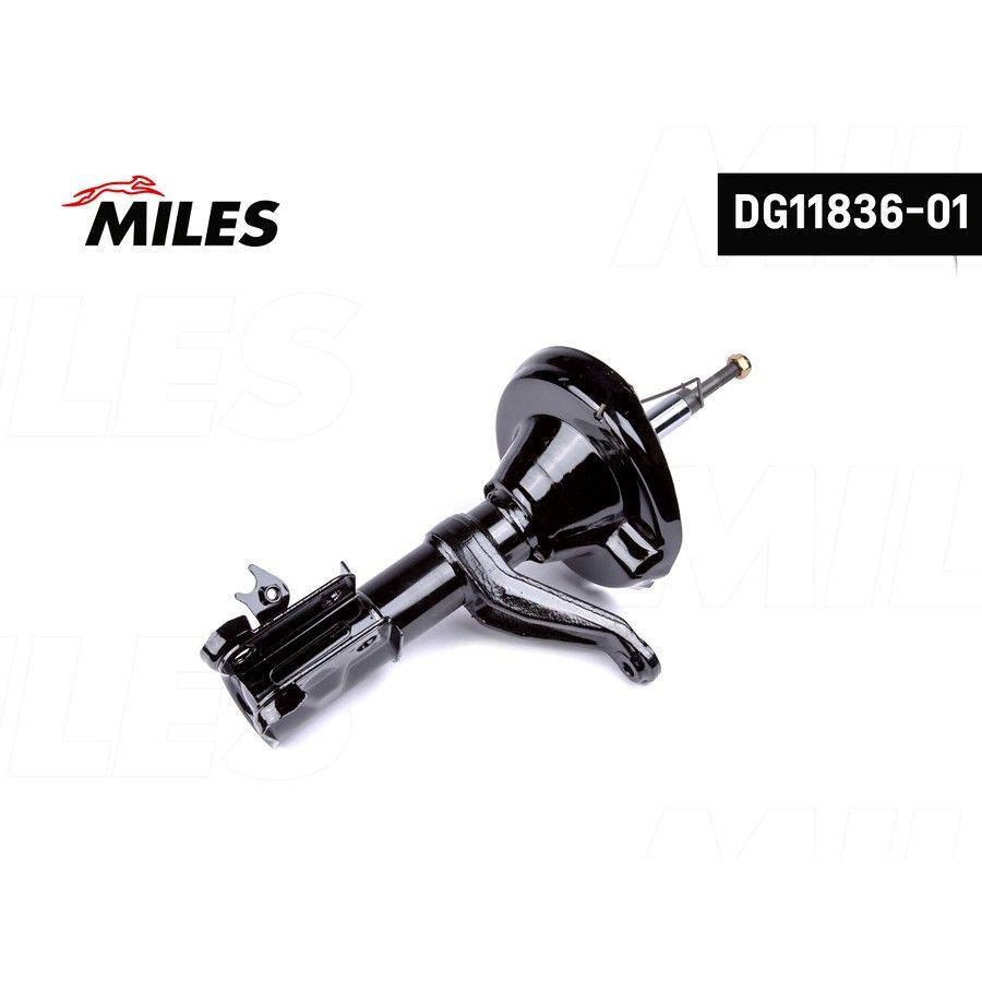 MILES DG1183601